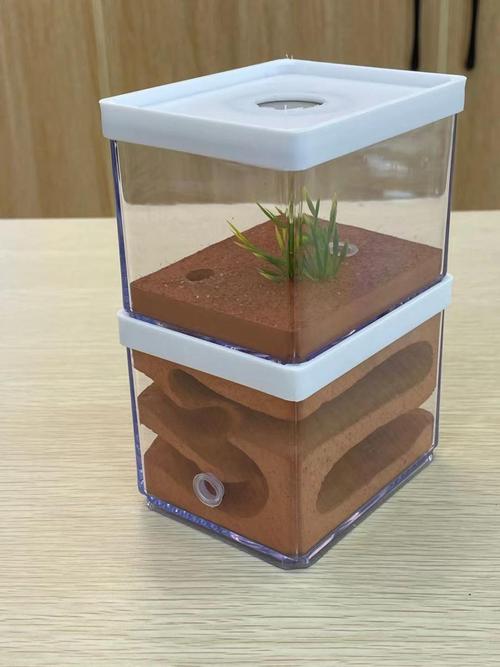 手工自制蚂蚁土巢(养蚂蚁的盒子自制 简单)