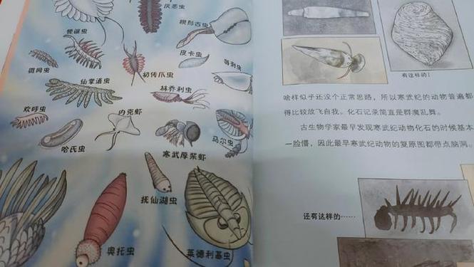 手机趣书网网页版(最新趣书网网址是什么)
