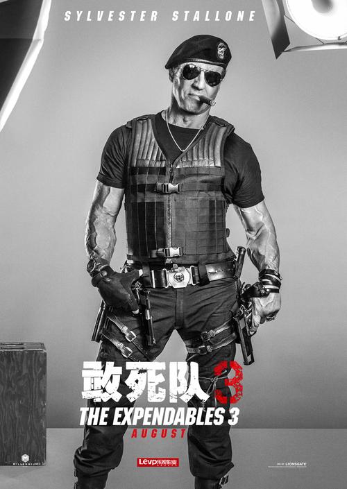敢死队中文版(2023敢死队3在线观看)