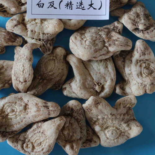 中药材天地网(药通网)