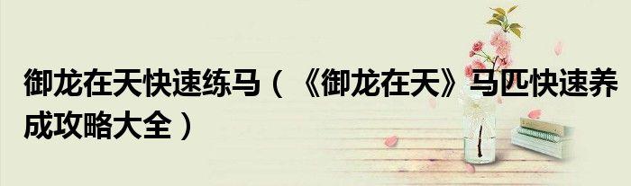 御龙在天辅助(御龙在天练马脚本)