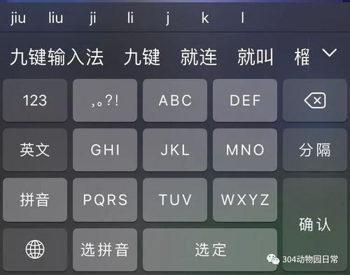 带拼音的输入法(字体带拼音怎么设置)