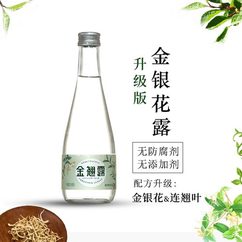 乐可by金银花露(深入浅出TXL金银花笔趣)