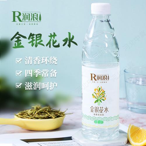 乐可by金银花露(深入浅出TXL金银花笔趣)
