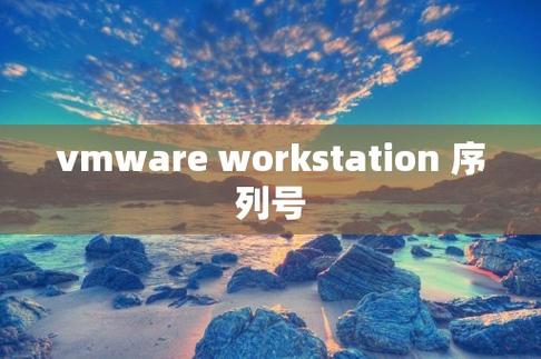vmware序列号(vmware一个月多少钱)
