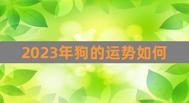 女机械加点2021(70年属狗女2020年运势)