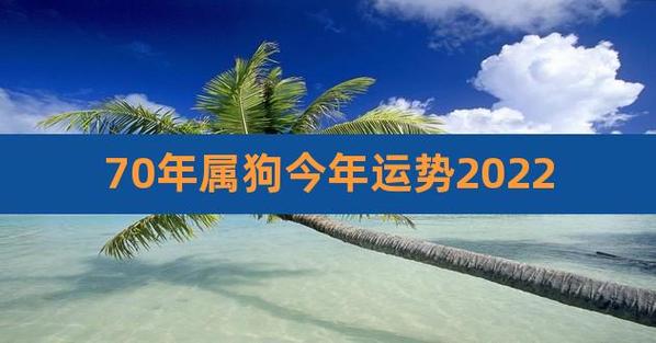 女机械加点2021(70年属狗女2020年运势)