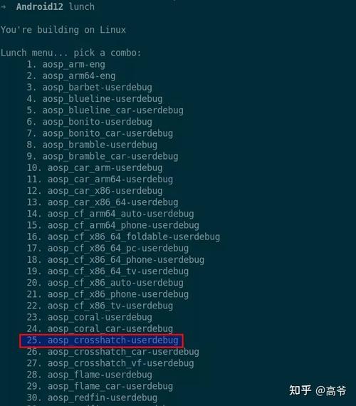 源代码结局是什么意思(源代码最后没看懂)
