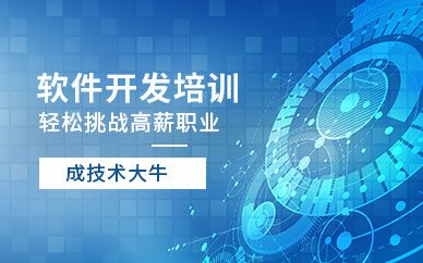 成都软件开发(成都软件开发培训)