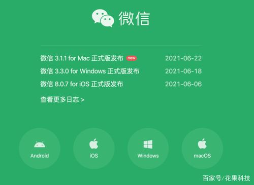 微信免安装版电脑端(微信电脑版软件免费下载)