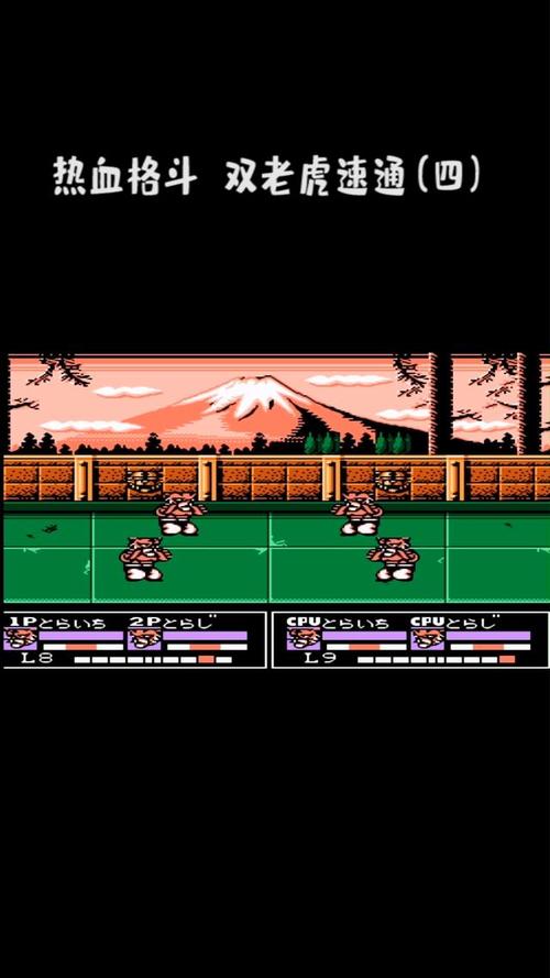 热血格斗中文版(热血格斗中文版老虎密码)