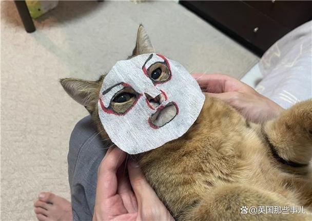老奶奶救小猫小游戏(奶奶的房子最新版本)