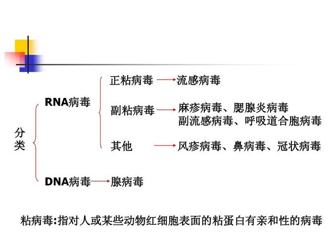 勒索病毒是什么类型的病毒(勒索病毒属于什么病毒)