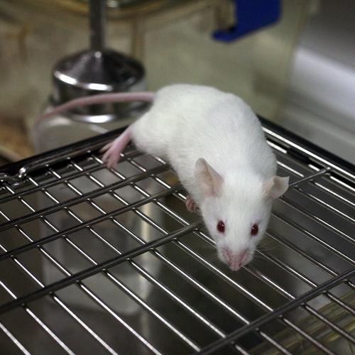 生物实验室里面都有什么(生物实验室的日常表情包)