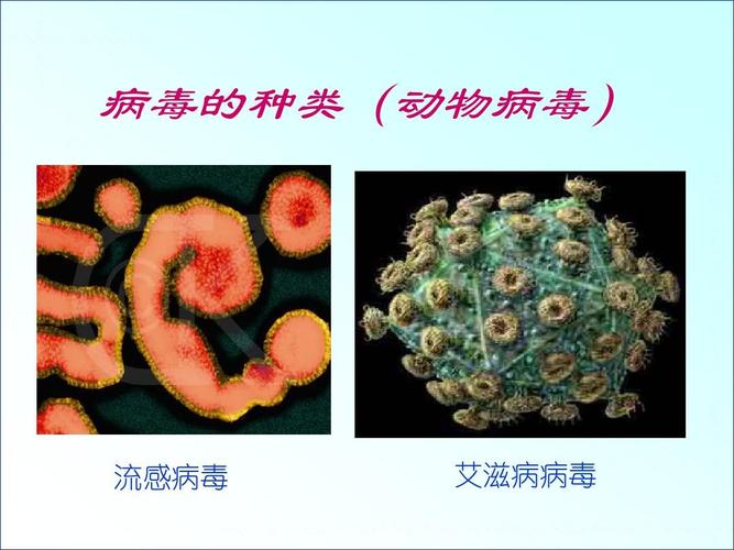勒索病毒是什么类型的病毒(勒索病毒属于什么病毒)