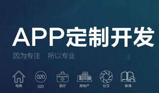 cips系统软件开发(系统及app开发)