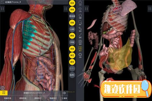 人体解剖实用软件手机(人体解剖的软件有哪些)