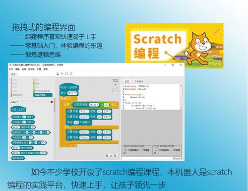 学生编程软件有哪些(学生 编程)