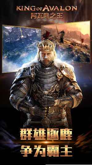 无限之阿瓦隆(无限阿瓦达)