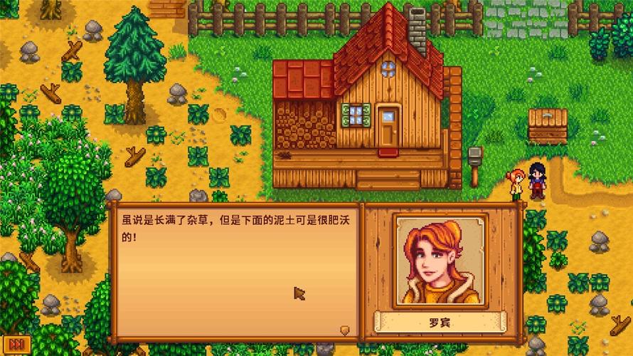 和风物语为什么不能联网(星露谷物语ios1.5)