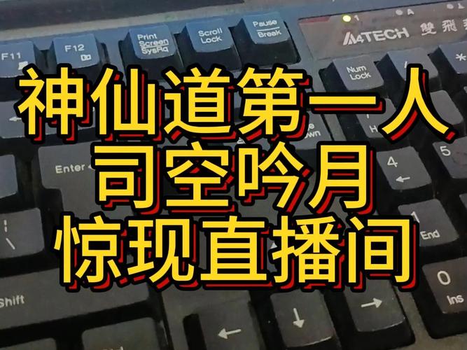神仙道司空吟月真名(神仙道司空吟月出号)