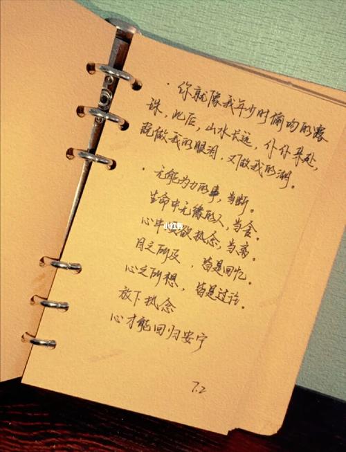 我到底要怎么做游戏玩家才满意(我到底怎么样才能放下游戏玩家)