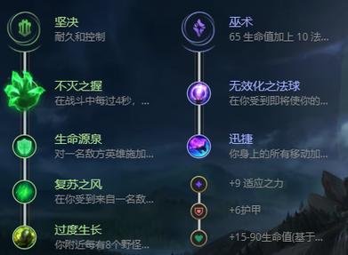 无限大乱斗龙龟出装(披甲龙龟出装s11)