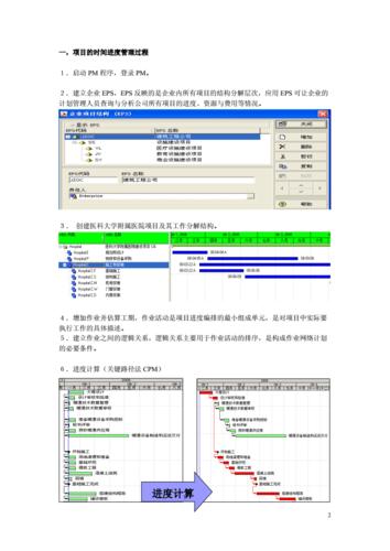 p6软件报告(p6软件的基本结构)