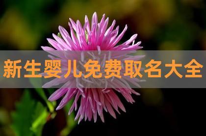 婴儿免费取名网站(免费为婴儿取名)