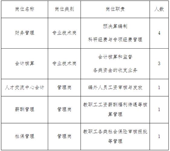 神舟财务软件价格(神舟财务系统)