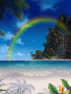 5d立体悬浮动态壁纸透明(5d立体悬浮动态壁纸透明图片)