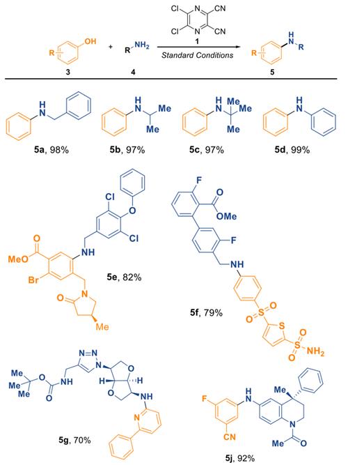 pharmaceutical(merck)
