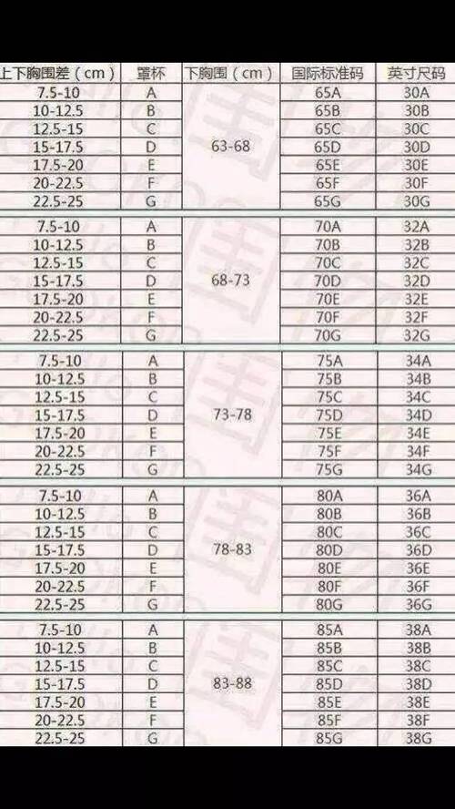 cms是什么证书(cms证书含金量)
