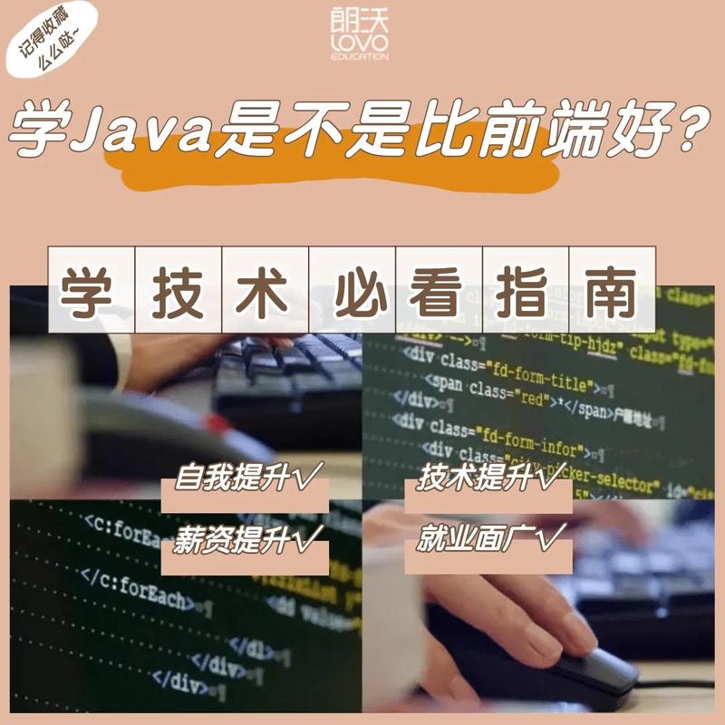 前端和后端的区别(开发前端和后端的区别)