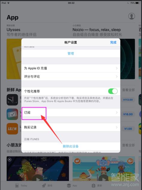 ipad修改软件图标(ipad怎么修改图标和软件名称)