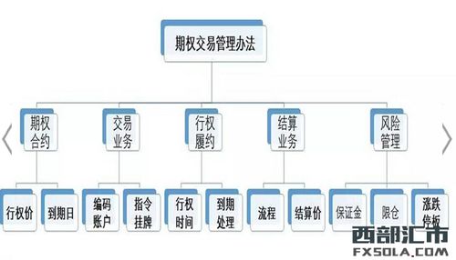 期权交易系统(期权交易系统包括哪些内容)