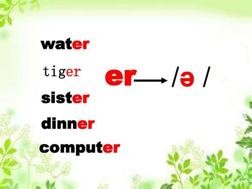 computer怎么读(dinner怎么读)