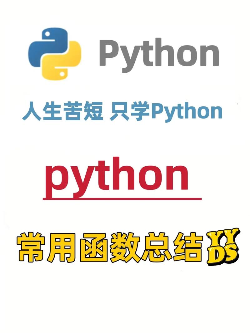 input函数python怎么用(python input函数详解)
