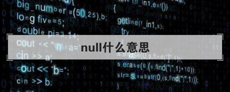 null网络语是什么意思(网络上的null是什么意思)