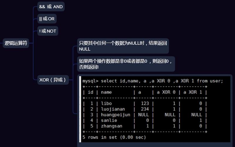mysql是什么类型数据库(mysql是一个什么数据库)