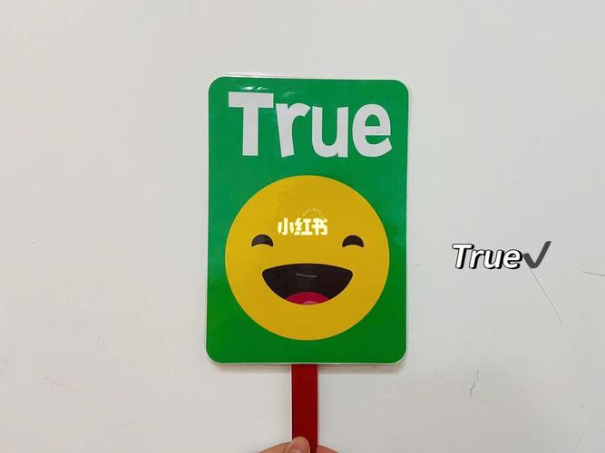 TRUE大写表示的是啥意思(“true”)