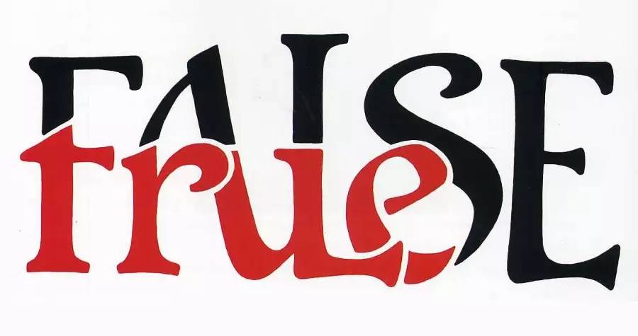 TRUE大写表示的是啥意思(“true”)