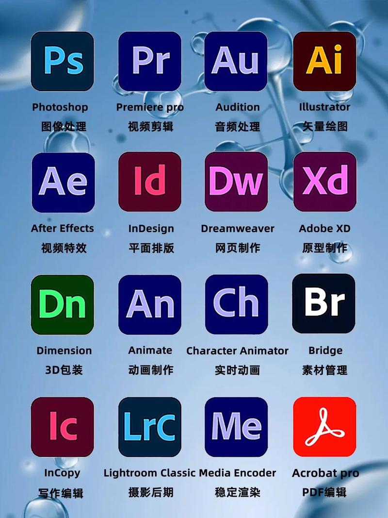 adobe软件版本(adobe软件版本区别)