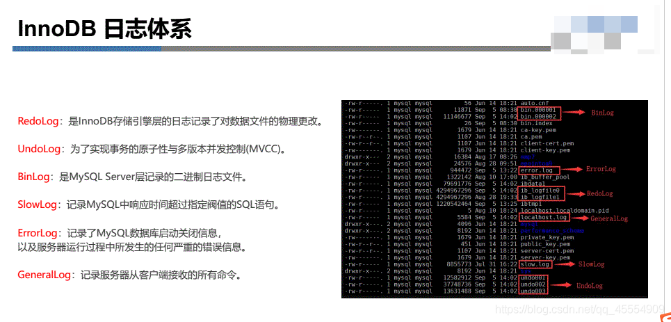 oracle和mysql哪个好(oracle和mysql哪个难)