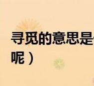 next什么意思(NEXT什么意思中文)