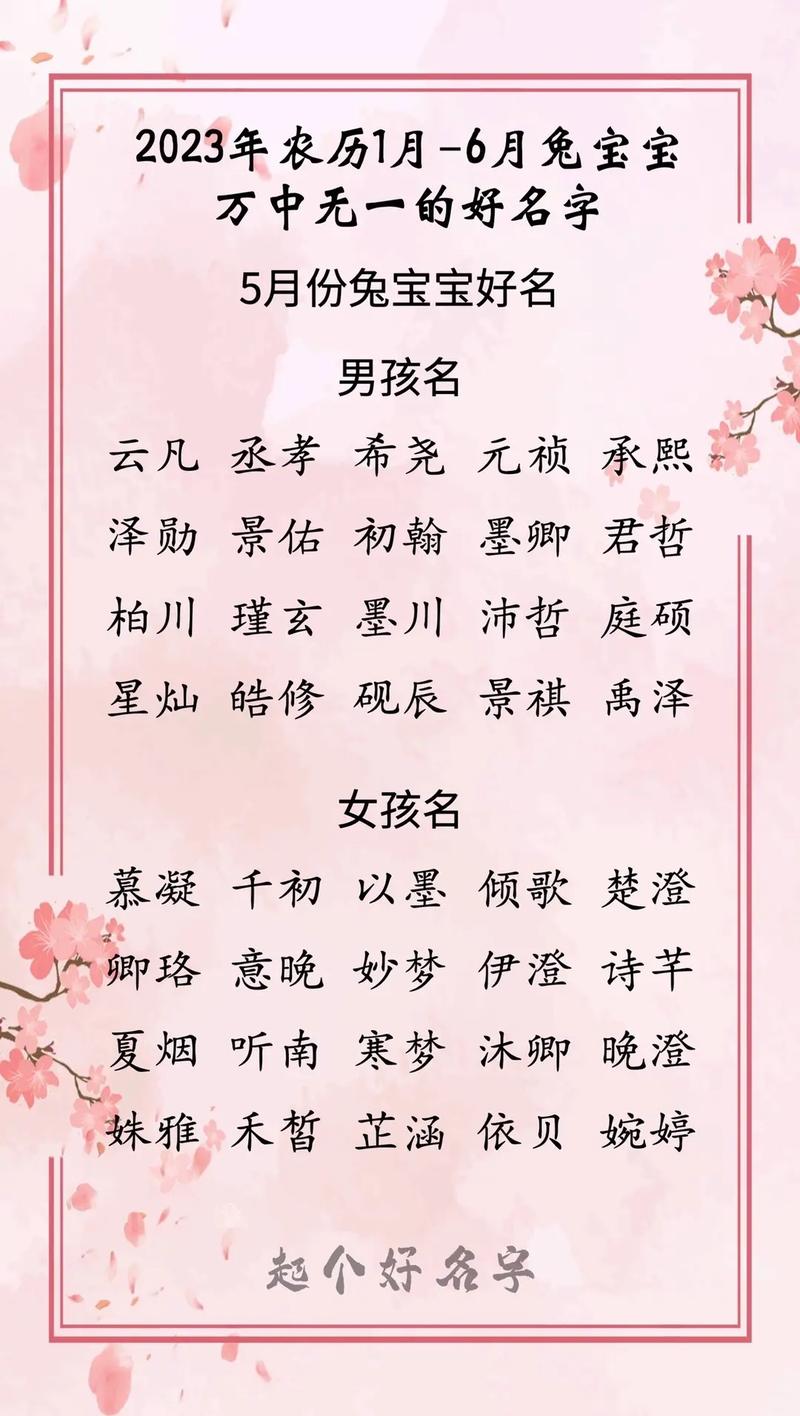 2023兔最旺男孩名字(2023兔最旺男孩名字带方字的)