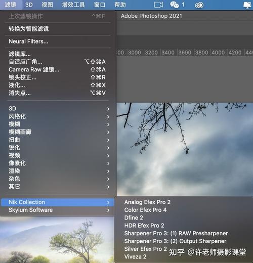nik滤镜安装后在ps里找不到(nik滤镜模块接口问题)