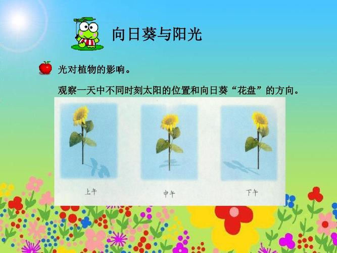 teamviewer和向日葵哪个好用(teamviewer和向日葵的区别)