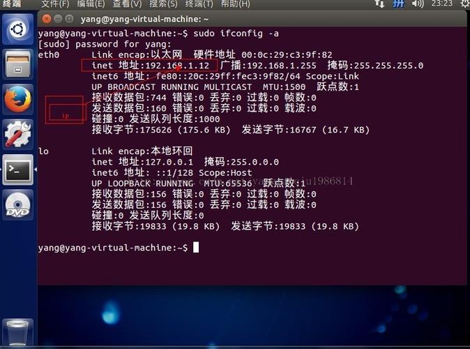 linux系统怎么查看ip地址(linux中怎么查看ip地址)