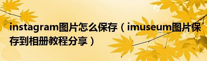 imgur怎么读(imuseum怎么读音)